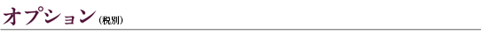 オプション